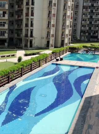 Home c11