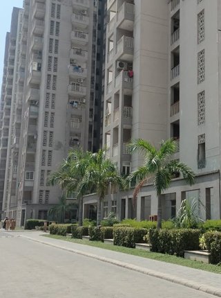 Home c8